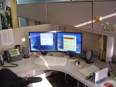 Photograph of cubical with a corner desk. Typical layout used by customer service staff.